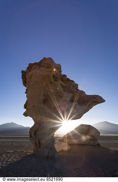 Südamerika  Bolißien  Atacama-Wüste  Altiplano  Siloli-Wüste  Felsformation Arbol de Piedra