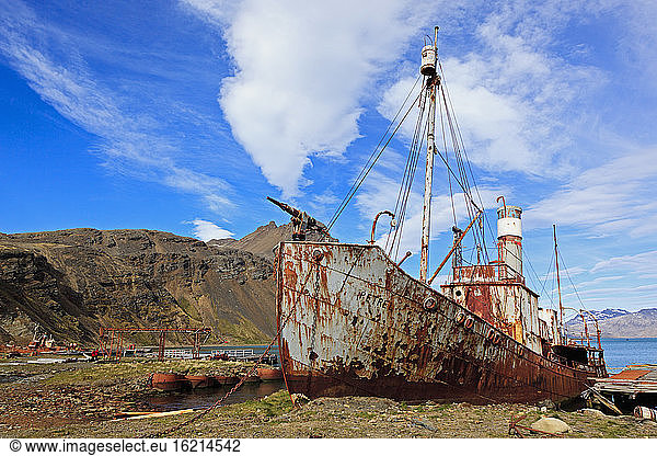 Südatlantik  Vereinigtes Königreich  Britische Überseegebiete  Südgeorgien  Grytviken  Altes verrostetes Walfangschiffswrack in der Nähe der ehemaligen Walfangstation