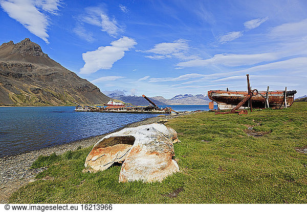 Südatlantik  Vereinigtes Königreich  Britische Überseegebiete  Südgeorgien  Grytviken  Walknochen und Walfangschiffswrack an ehemaliger Walfangstation