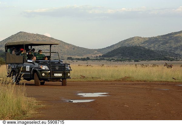 Südliches Afrika  Südafrika  sitzend  Auto  Tourist