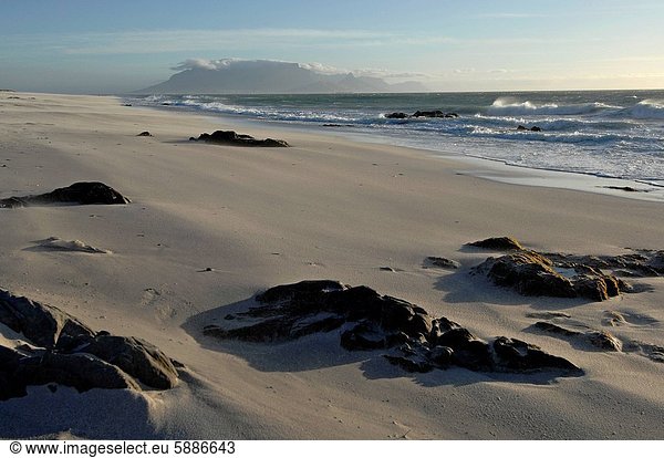 Südliches Afrika  Südafrika  Western Cape  Westkap  Kapstadt