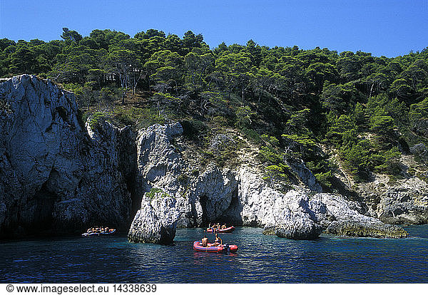 S. Domino island covered by Pinus halepensis  Tremiti island  Foggia  Puglia  Italy.