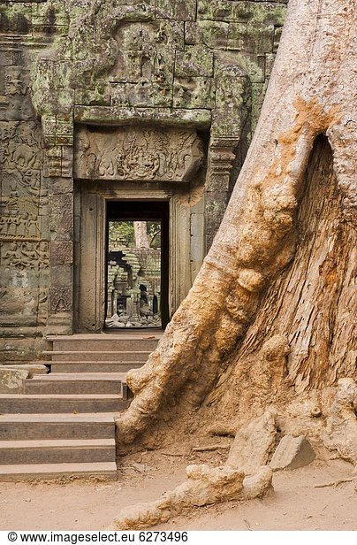 Südostasien  UNESCO-Welterbe  Angkor  Asien  Kambodscha  Siem Reap  Ta Prohm Tempel