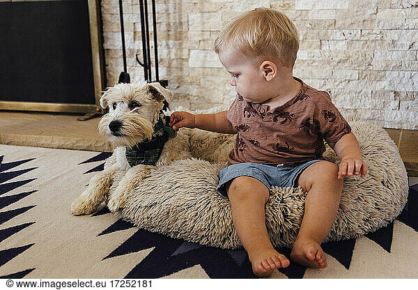 Süßer Junge spielt mit Hund auf Haustier Bett zu Hause
