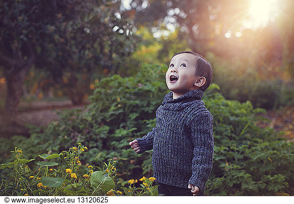 Süßer verspielter kleiner Junge mit offenem Mund  der im Park an Pflanzen steht