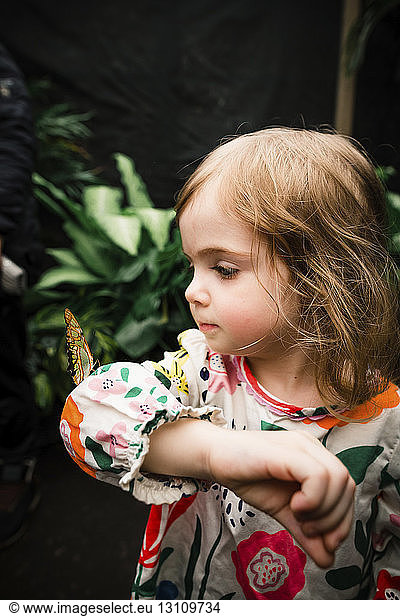 Süßes Mädchen hält Schmetterling  während es gegen Pflanzen steht