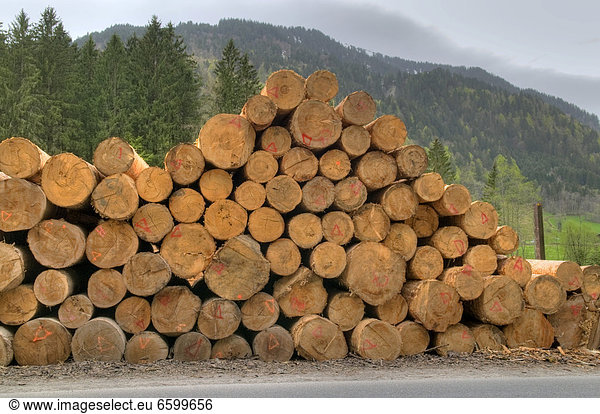 Sägewerk Europa Holz Bauholz Österreich Vorarlberg