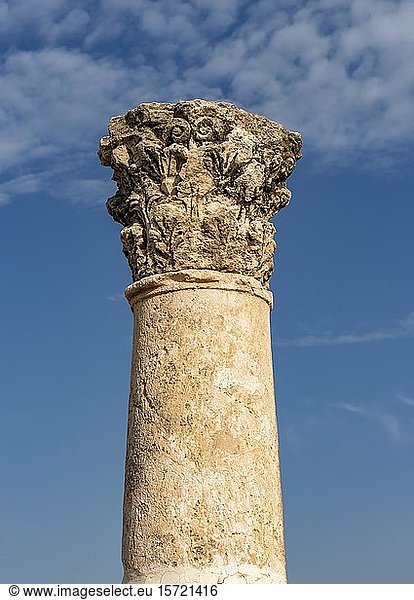 Säule im Umayyaden-Palast  Zitadelle von Amman  Amman  Jordanien  Asien