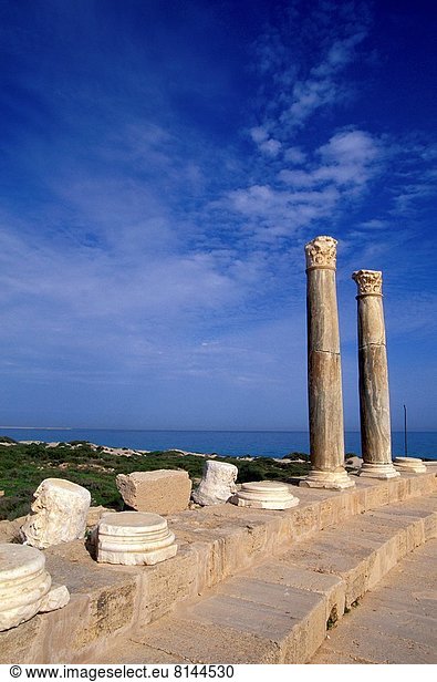 Säule  Leptis Magna  Libyen