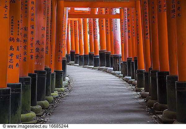 Säulen am berühmten Fushimi-Inari-Schrein