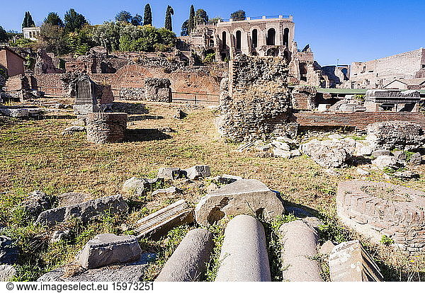 Säulen im Forum Romanum  UNESCO-Weltkulturerbe  Rom  Latium  Italien  Europa