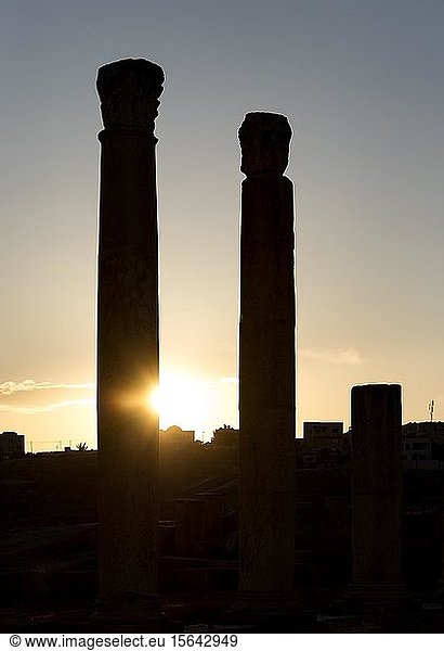 Säulen im Hof des Heiligtums der Artemis bei Sonnenuntergang  Jerash  Jordanien  Asien