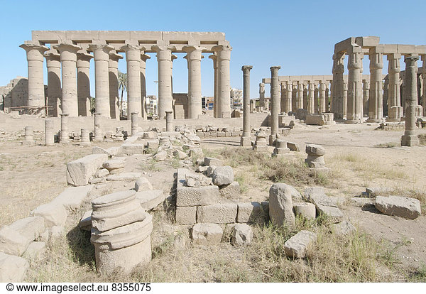 Säulen  Luxor-Tempel  UNESCO-Weltkulturerbe  Theben  Luxor  Gouvernement Luxor  Ägypten