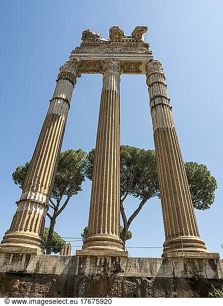 Säulen  Reste eines antiken Tempels  Forum Romanum  Rom  Latium  Italien  Europa
