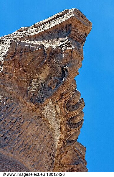 Säulenfragment mit Elefantenkopf  Großer Tempel  Archäologischer Park Petra  Felsenstadt Petra  Jordanien  Kleinasien  Asien