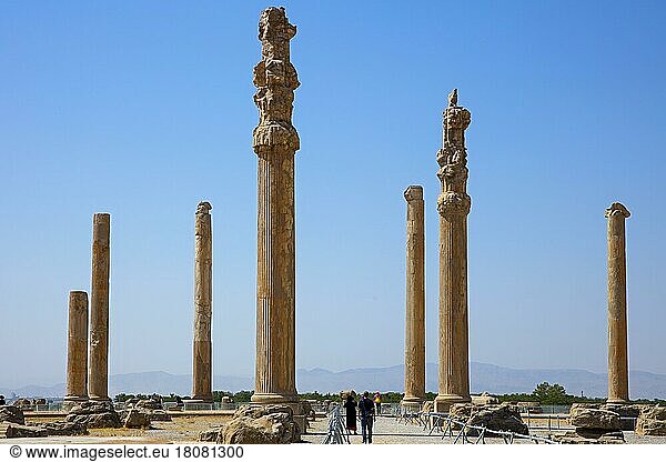 Säulenhalle  Persepolis  Persepolis  Iran