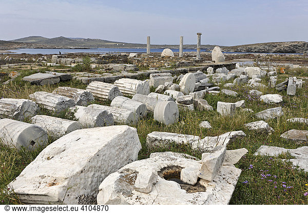 Säulentrommeln vor den aufgerichteten Säulen des Artemision  Delos  Griechenland