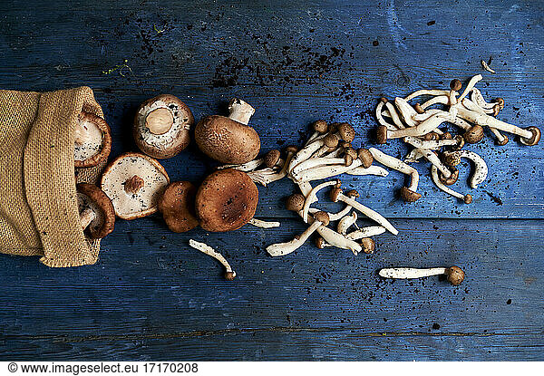 Sack of freshly picked mushrooms lying on blue wooden surface