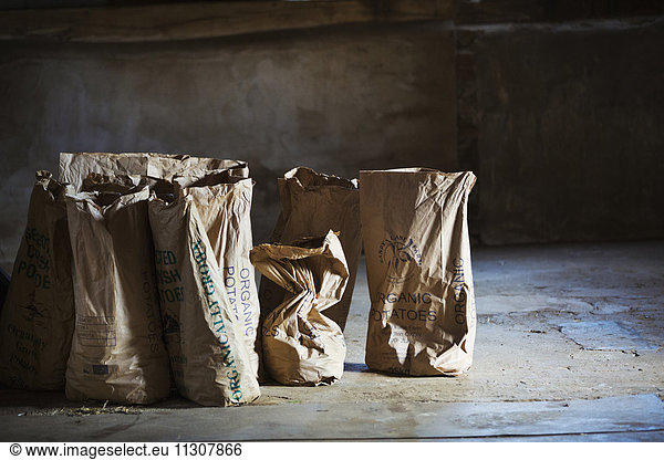 Sacks of fresh potatoes bagged up in a barn in a patch of sunlight.