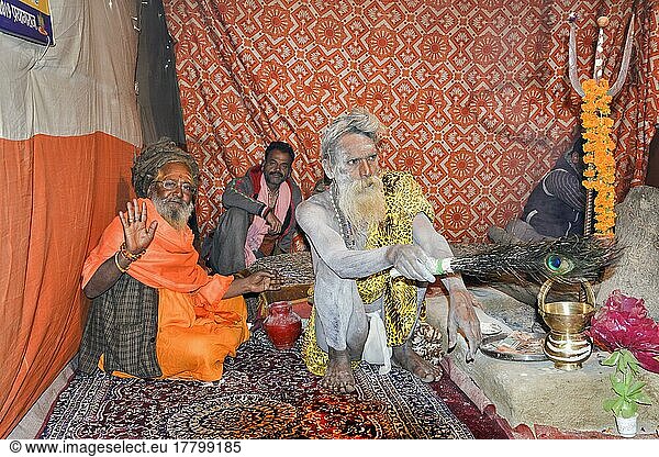 Sadhu bedeckt mit weißer Asche im Zelt  For Editorial Use Only  Allahabad Kumbh Mela  World's largest religious gathering  Uttar Pradesh  Indien  Asien