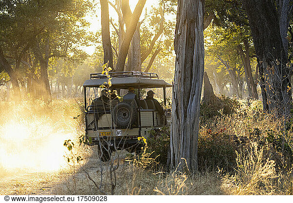 Safari-Fahrzeug auf einer Pirschfahrt bei Sonnenaufgang