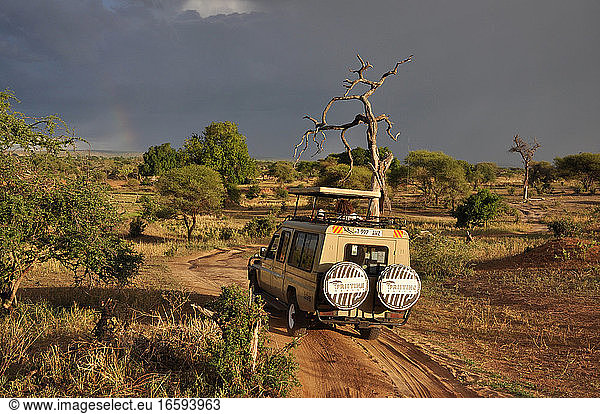 Safari in Tarangire National Park Tanzania
