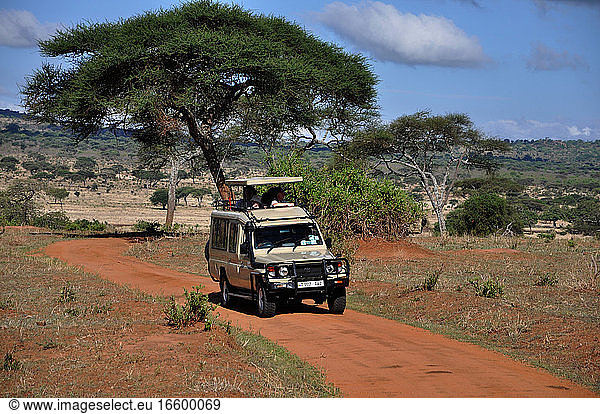 Safari in Tarangire National Park  Tanzania