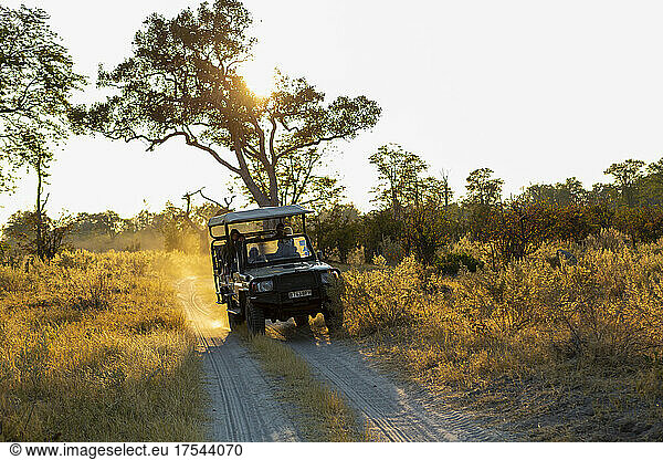 Safari jeep on a dirt road  a sunrise drive