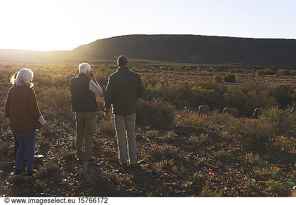 Safari tour group watching elephants on sunny wildlife reserve