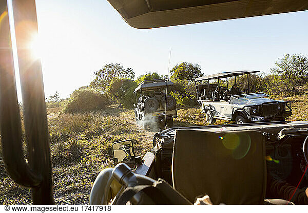 Safari vehicle at sunrise  Okavango Delta  Botswana.