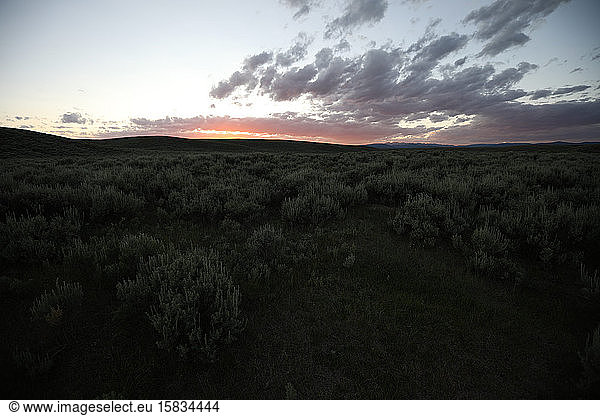 Sage Prairie Western Wyoming