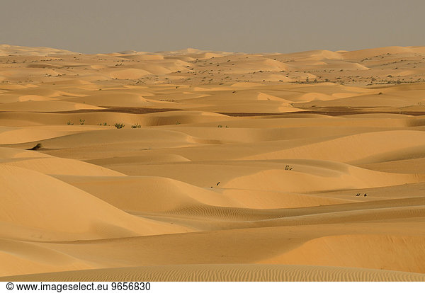 Sahara  bei Chinguetti  Mauretanien  nordwestliches Afrika  Afrika