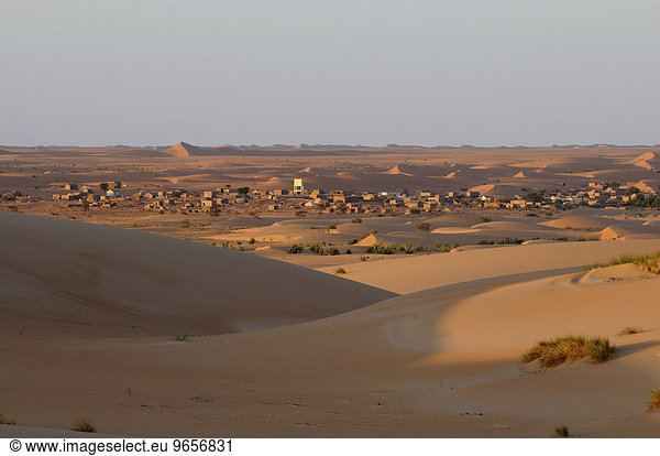 Sahara  bei Chinguetti  Mauretanien  nordwestliches Afrika  Afrika