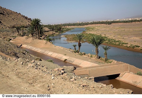 Sahara desert Zagora  Morocco Irrigation channel of canalized river  Sahara desert Zagora  Morocco  north Africa