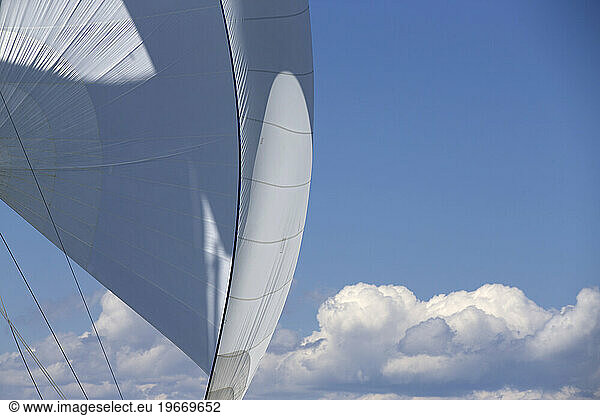 Sail detail and spinnaker of classic racing yacht