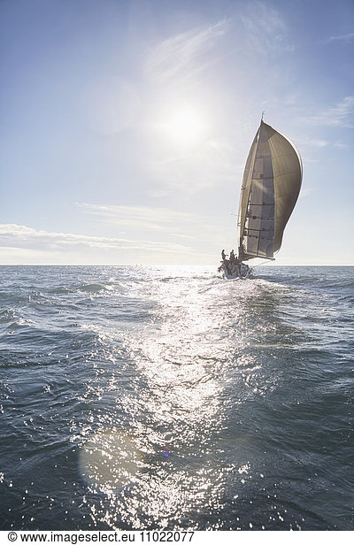 Sailboat on sunny ocean