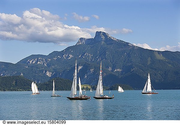 Sailboats with Schafberg  Mondsee  Salzkammergut  Upper Austria  Austria  Europe
