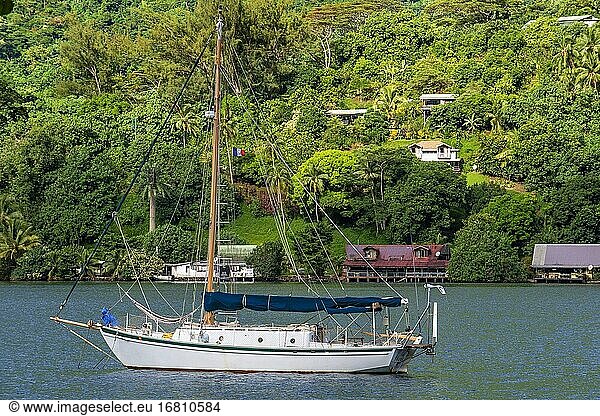 Sailing boat  Cook's or Paopao Bay  Mt. Rotui and Mt. Mouaroa  Moorea  Society Islands  French Polynesia  South Pacific  Oceania.Cook's Bay  Cooks Bucht  Mount Rotui und Mt. Mouaroa  Moorea  Gesellschaftsinseln  Franz?sisch-Polynesien  S?dsee  Ozeanien - idyllisches Insel Inseln K?ste K?sten K?stenlandschaft K?stenlandschaften Kueste Kuesten Kuestenlandschaft Kuestenlandschaften Landschaft Landschaften Meere Meeresk?ste Meeresk?sten Meereskueste Meereskuesten Moorea Mouaroa Mount Mt Natur Ozeanien Polynesien Reise reisen Reisen reisend reisende reisender reisendes Reiseverkehr Rotui S?dsee Schiff Schiffe Segelboot Segelboote Segelschiff Segelschiffe Suedsee Tag Tage Tageslicht tags?ber tagsueber Tourismus Touristik Traumurlaub Traumurlaube Tropen tropisch tropische tropischer tropisches und Urlaub Yacht Yachten.