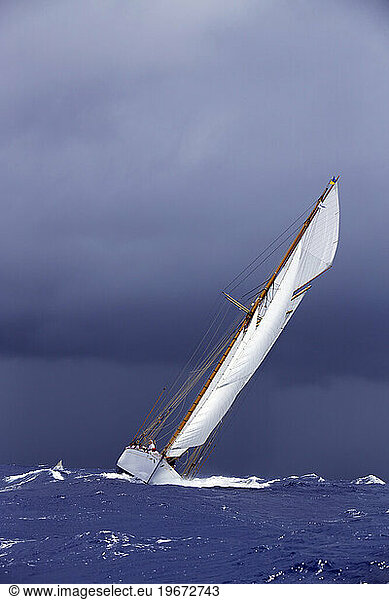 Sailing yacht 'Adventuress' races in the Antigua Classic Yacht Regatta  Antigua  British West Indies.