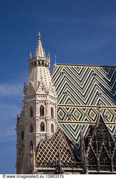 Saint Etienne Cathedral  Vienna  Austria