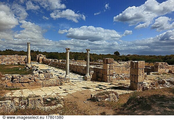 Salamis  griechisch Salamina  lateinisch Constantia  ist ein eisenzeitliches Stadtkönigreich und eine antike Stadt an der Mündung des Pediaios im Osten der Mittelmeerinsel Zypern  etwa 6 km noerdlich des heutigen Famagusta  MarktGebäude  Nordzypern