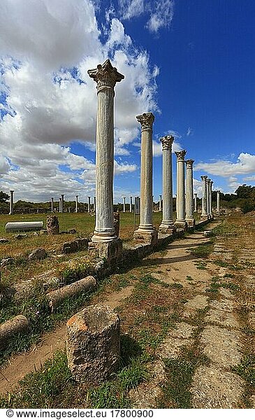 Salamis  griechisch Salamina  lateinisch Constantia  ist ein eisenzeitliches Stadtkönigreich und eine antike Stadt an der Mündung des Pediaios im Osten der Mittelmeerinsel Zypern  etwa 6 km noerdlich des heutigen Famagusta  Säulen des Gymnasion  Nordzypern