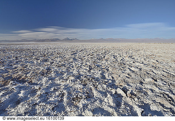Salar de Atacama  near San Pedro de Atacama  II Antofagasta Region  Chile