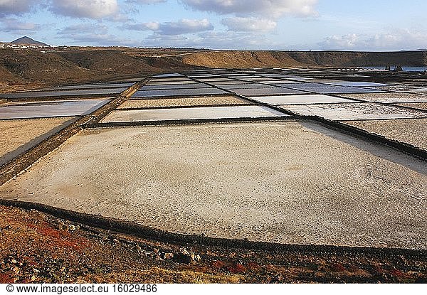 Salinen auf Lanzarote. Arbeitende Salinen in Salinas de janubio an der Westküste Lanzarote Kanarische Inseln Europa.