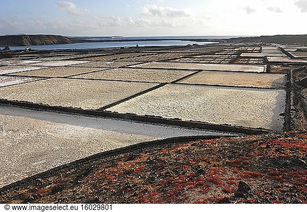 Salinen auf Lanzarote. Arbeitende Salinen in Salinas de janubio an der Westküste  Lanzarote  Kanarische Inseln  Europa.
