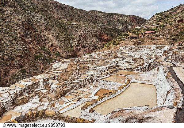 Salinen im Heiligen Tal der Inkas am Urubamba  bei Maras  Peru  Südamerika