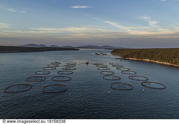 Salmon Aquaculture  Black Island  Maine
