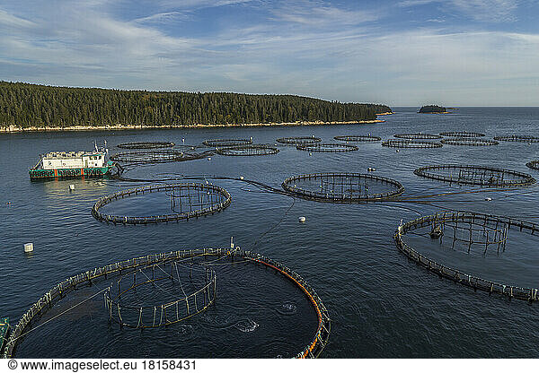Salmon Aquaculture  Black Island  Maine