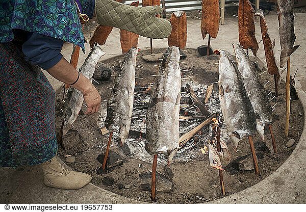 Salmon are cooked on stakes around a fire pit. Celilo  Oregon