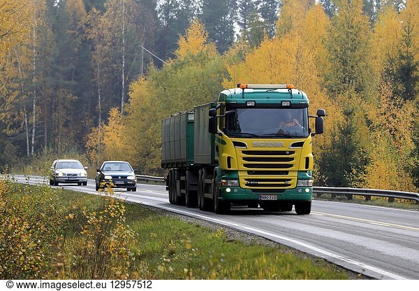 Salo  Finland - October 13  2018: Yellow and green Scania R500 truck hauls a load of sugar beet on rural highway in Finland flanked by autumn foliage.